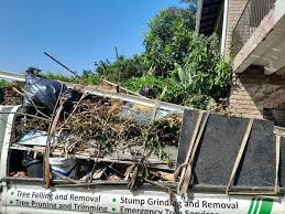 Best Furniture Removal  in Live Oak, FL